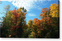 Load image into Gallery viewer, Fall Colours - Canvas Print