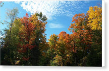 Load image into Gallery viewer, Fall Colours - Canvas Print