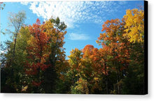Load image into Gallery viewer, Fall Colours - Canvas Print