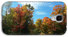 Load image into Gallery viewer, Fall Colours - Phone Case