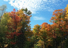 Load image into Gallery viewer, Fall Colours - Puzzle