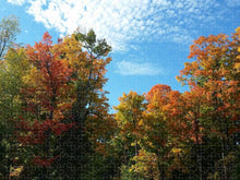 Load image into Gallery viewer, Fall Colours - Puzzle