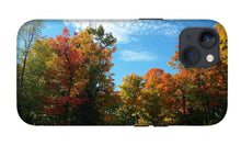 Load image into Gallery viewer, Fall Colours - Phone Case