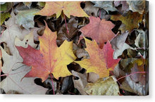 Load image into Gallery viewer, Fall Leaves - Canvas Print