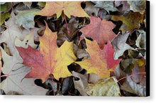 Load image into Gallery viewer, Fall Leaves - Canvas Print