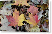 Load image into Gallery viewer, Fall Leaves - Canvas Print