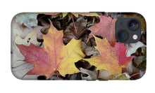 Load image into Gallery viewer, Fall Leaves - Phone Case
