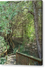 Load image into Gallery viewer, Forest Steps - Canvas Print