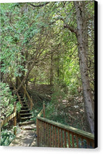 Load image into Gallery viewer, Forest Steps - Canvas Print