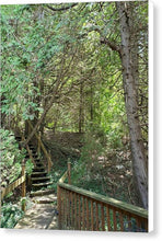 Load image into Gallery viewer, Forest Steps - Canvas Print