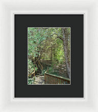 Load image into Gallery viewer, Forest Steps - Framed Print