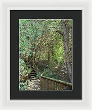 Load image into Gallery viewer, Forest Steps - Framed Print