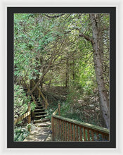 Load image into Gallery viewer, Forest Steps - Framed Print
