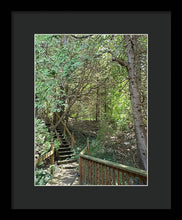 Load image into Gallery viewer, Forest Steps - Framed Print