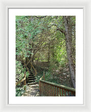 Load image into Gallery viewer, Forest Steps - Framed Print
