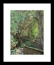 Load image into Gallery viewer, Forest Steps - Framed Print
