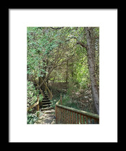 Load image into Gallery viewer, Forest Steps - Framed Print