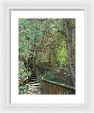 Load image into Gallery viewer, Forest Steps - Framed Print