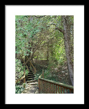 Load image into Gallery viewer, Forest Steps - Framed Print