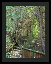 Load image into Gallery viewer, Forest Steps - Framed Print