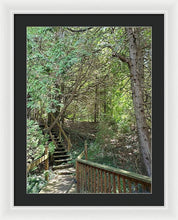 Load image into Gallery viewer, Forest Steps - Framed Print