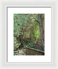 Load image into Gallery viewer, Forest Steps - Framed Print