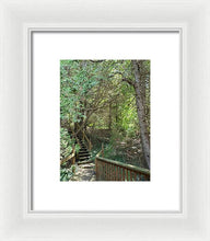 Load image into Gallery viewer, Forest Steps - Framed Print