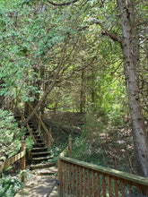 Load image into Gallery viewer, Forest Steps - Puzzle