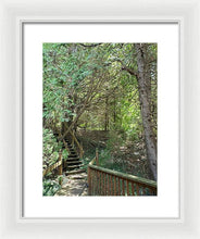 Load image into Gallery viewer, Forest Steps - Framed Print