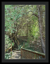 Load image into Gallery viewer, Forest Steps - Framed Print