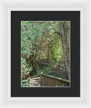 Load image into Gallery viewer, Forest Steps - Framed Print