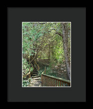 Load image into Gallery viewer, Forest Steps - Framed Print