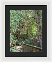 Load image into Gallery viewer, Forest Steps - Framed Print