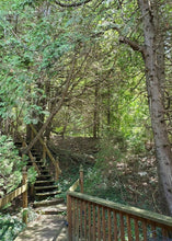 Load image into Gallery viewer, Forest Steps - Puzzle