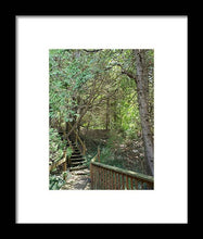 Load image into Gallery viewer, Forest Steps - Framed Print