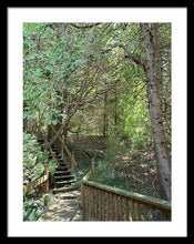 Load image into Gallery viewer, Forest Steps - Framed Print