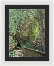 Load image into Gallery viewer, Forest Steps - Framed Print