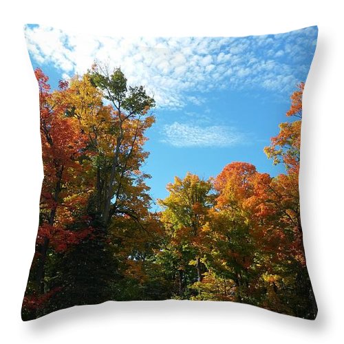 Fall Colours - Throw Pillow