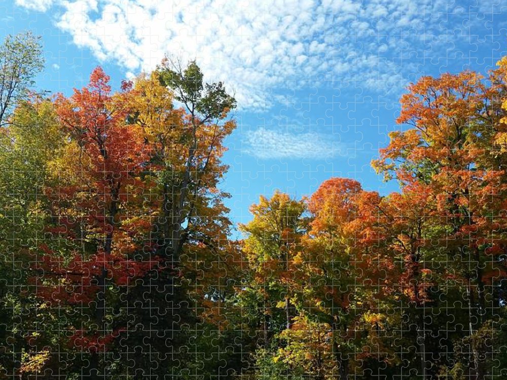 Fall Colours - Puzzle
