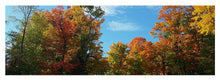 Load image into Gallery viewer, Fall Colours - Yoga Mat
