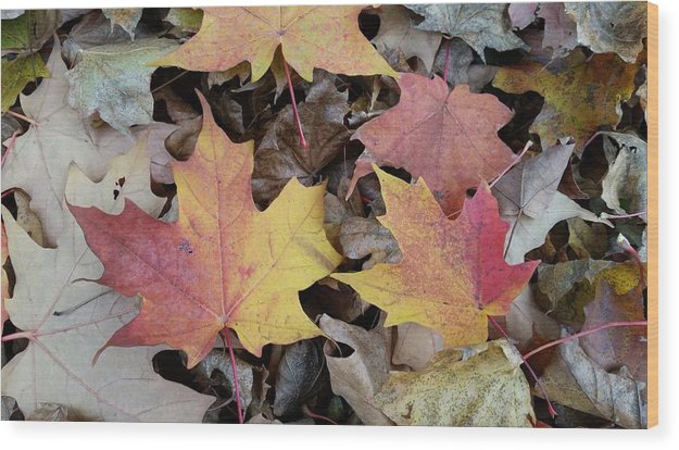 Fall Leaves - Wood Print